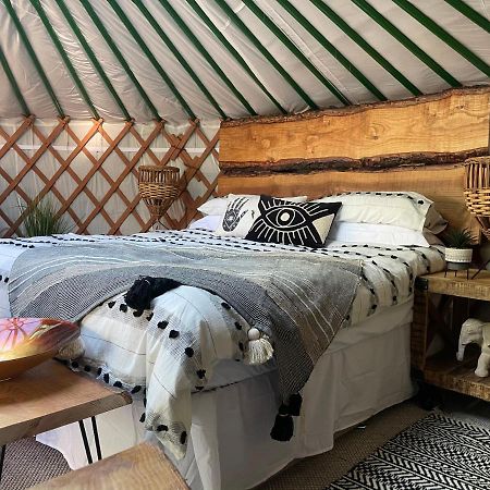 Отель O Dan Y Coed Luxury Yurt With Hot Tub Chwilog Экстерьер фото